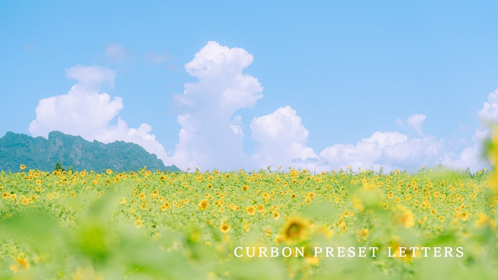 春夏秋冬、その瞬間をもっと美しく。｜写真家・もちづきが贈るLightroomプリセット『Four Seasons Collection』