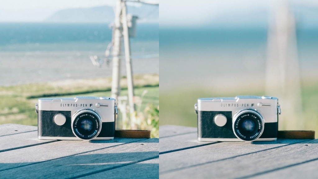 写真を学ぶ第一歩。「F値」って何だろう？背景をきれいにぼかすには？【CURBON写真用語辞典 #10 】