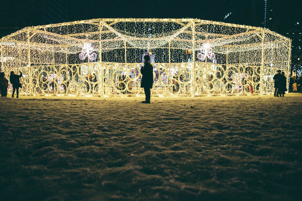 冬だ！クリスマスだ！イルミネーションだ！きれいに撮るポイントをおさえよう【CURBON写真用語辞典 #23】