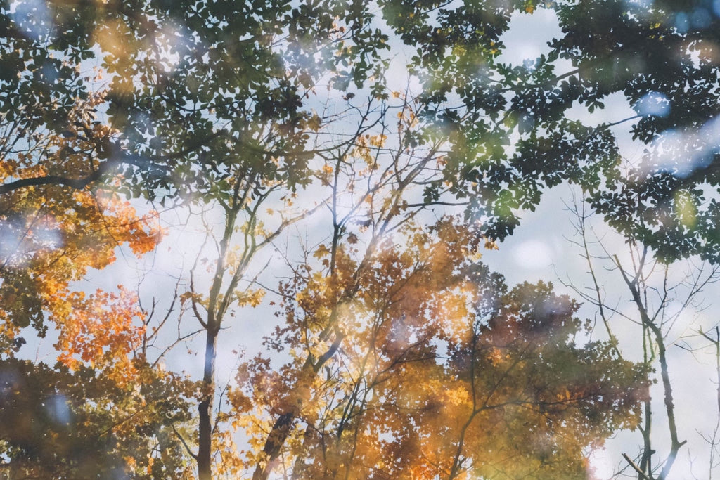 スマホでも簡単に！幻想的な写真を創る多重露光の撮り方・加工のやり方【CURBON写真用語辞典 #05 】
