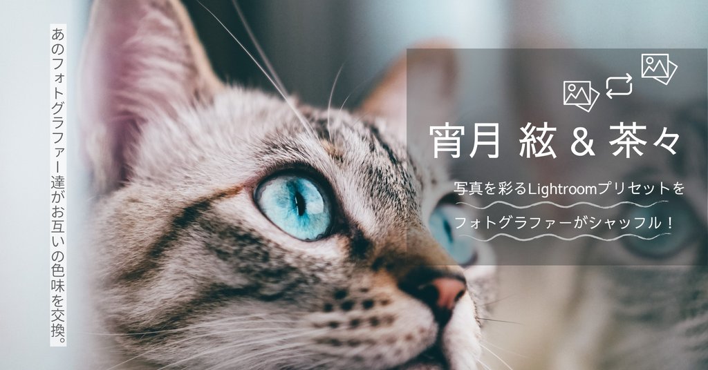 写真を彩るLightroomプリセットをフォトグラファーがシャッフル！