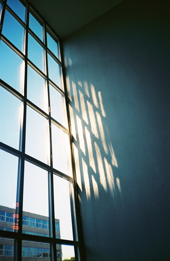展示写真
