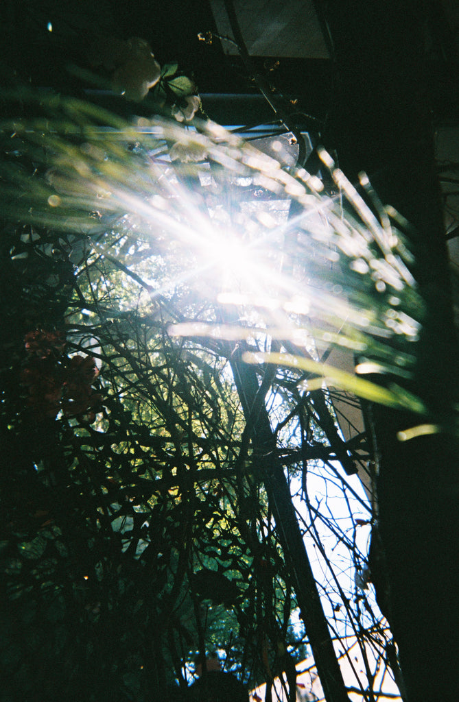 展示写真