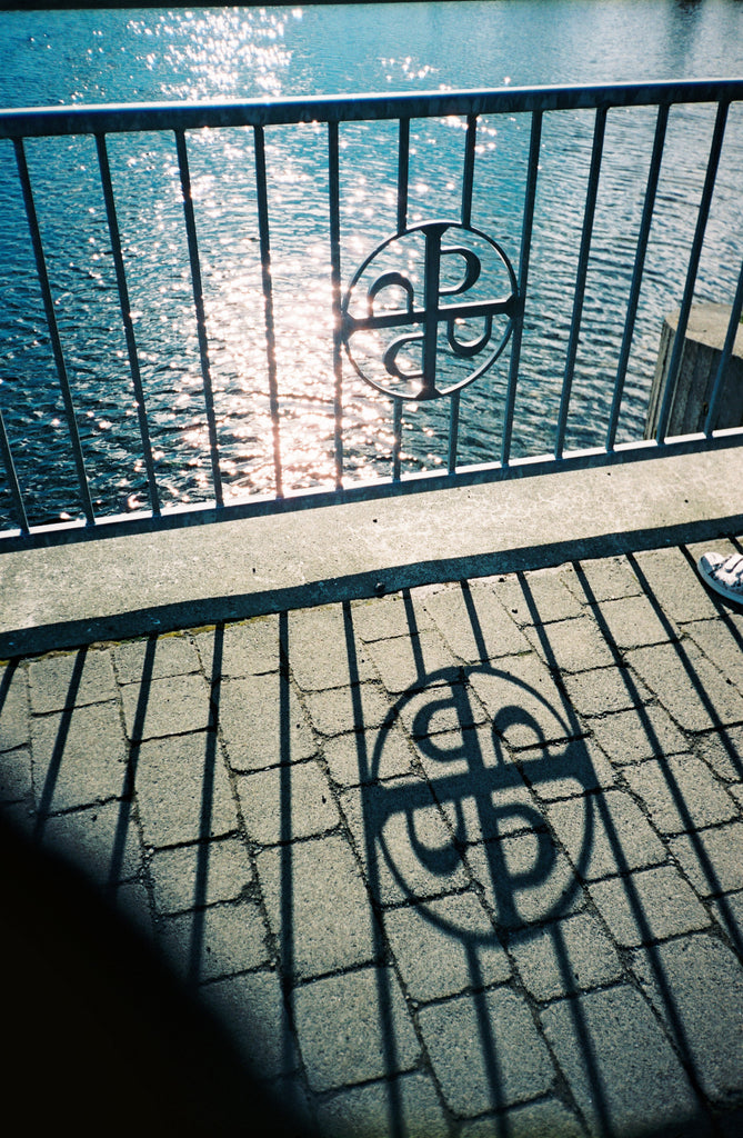 展示写真