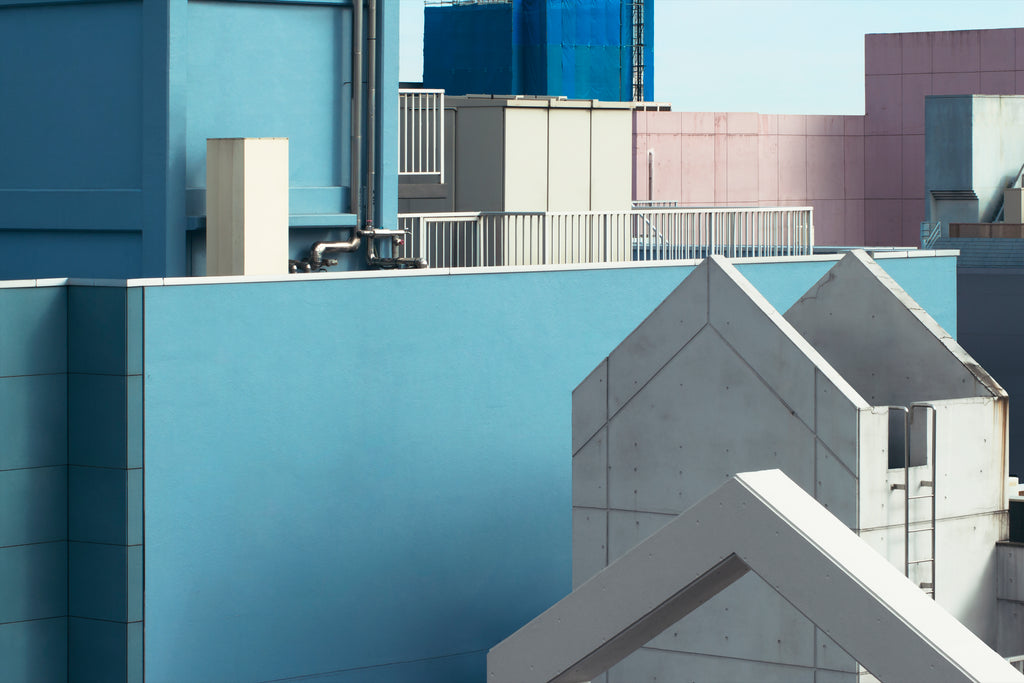 展示写真