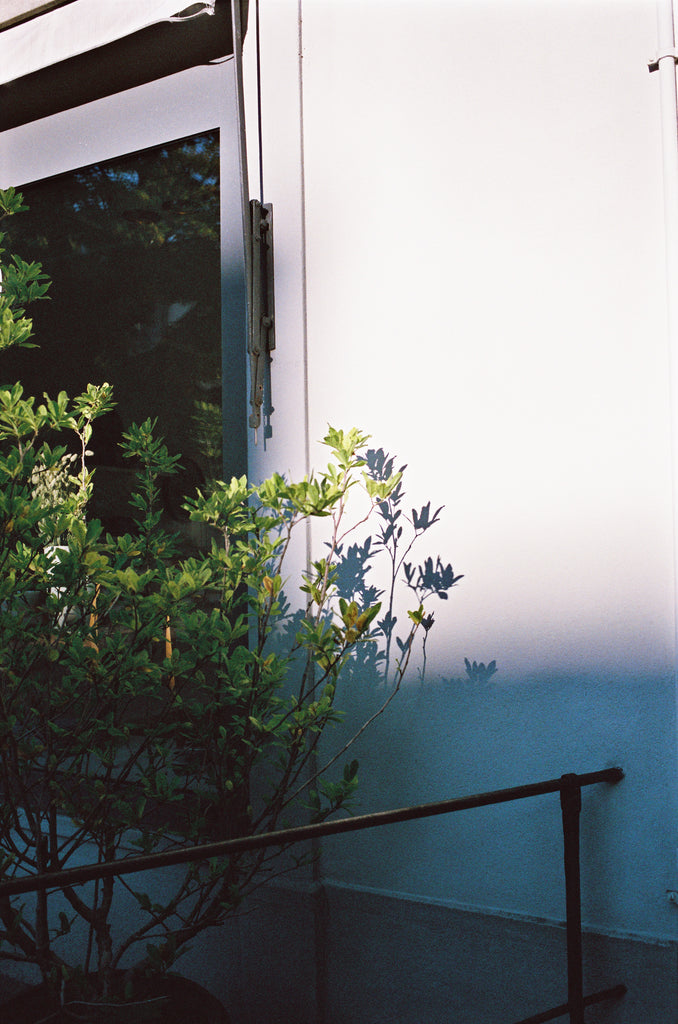 展示写真
