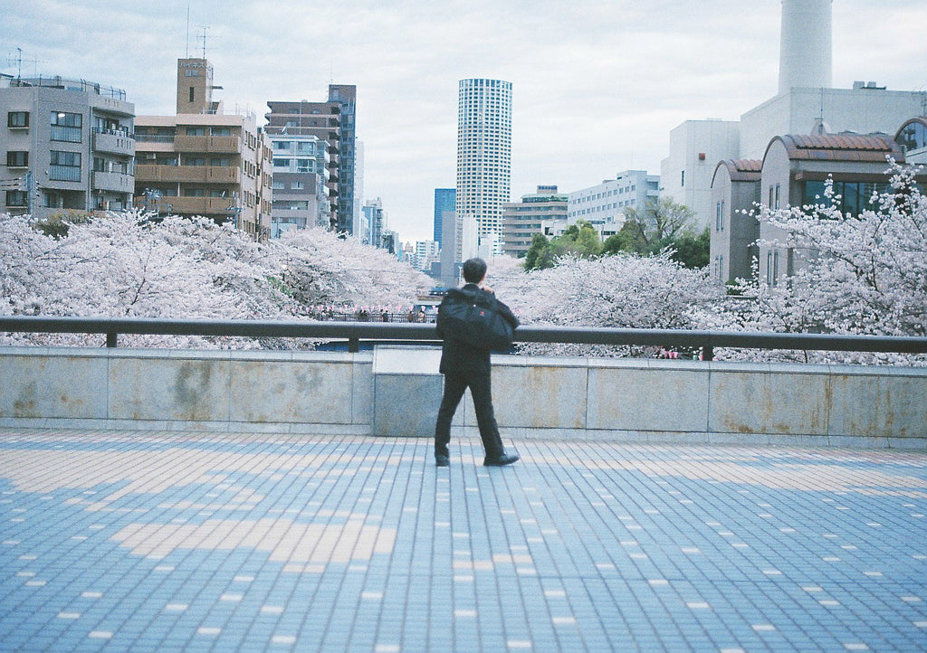 展示写真