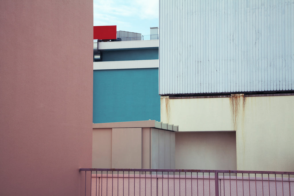 展示写真