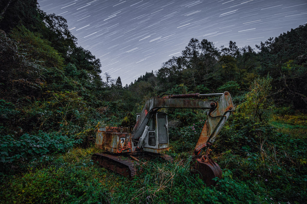 展示写真