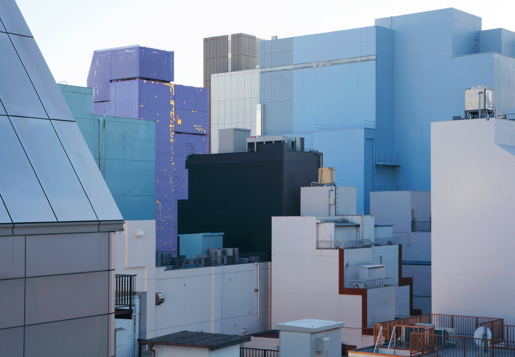 展示写真