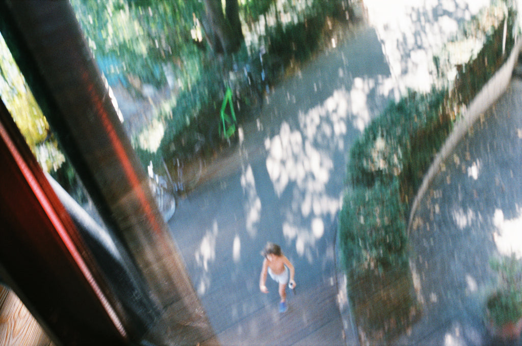 展示写真