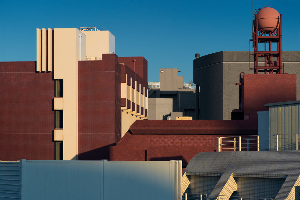 展示写真