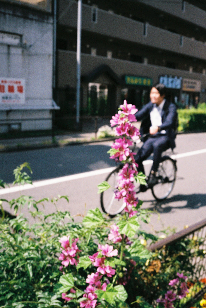 展示写真