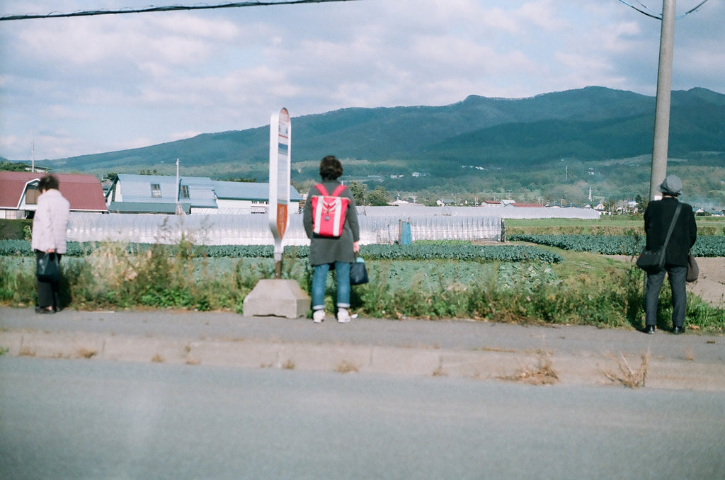 展示写真