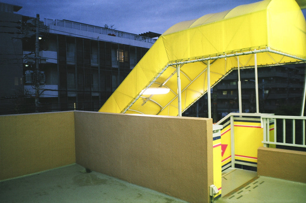 展示写真