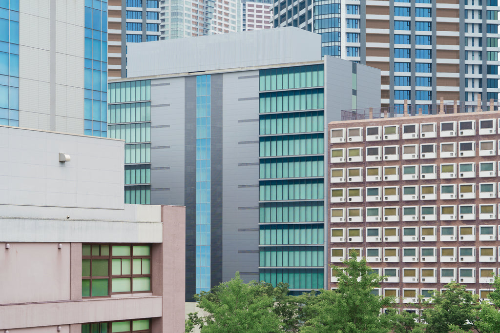展示写真