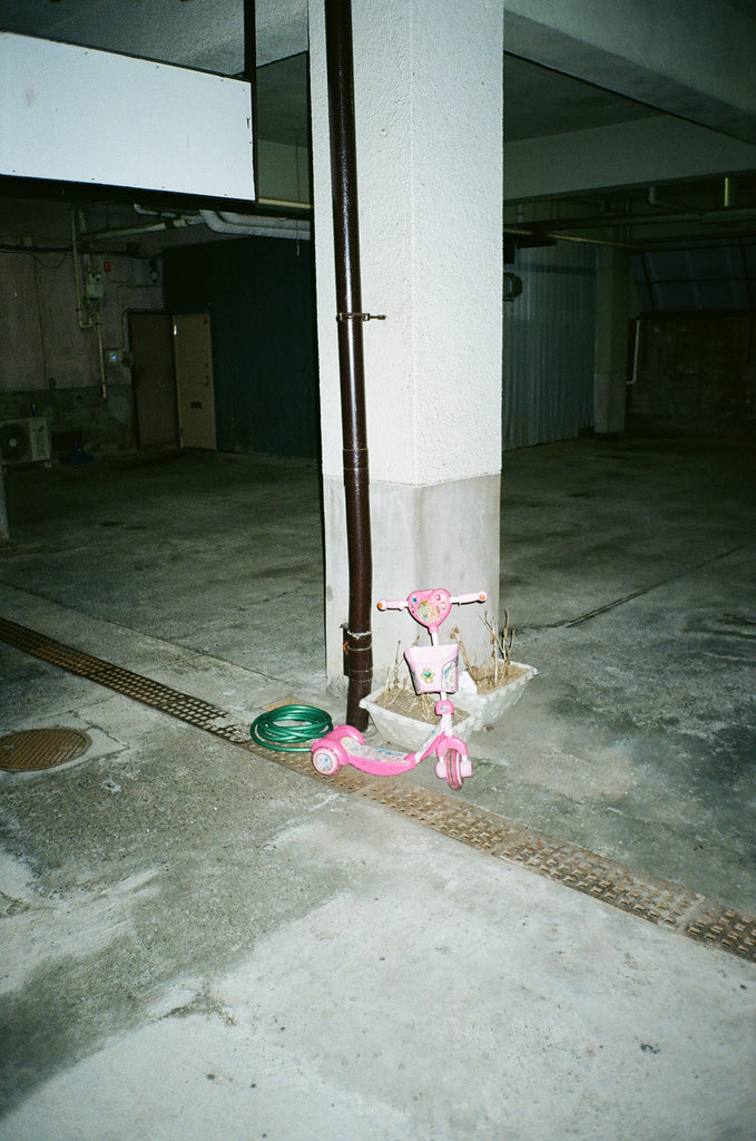 展示写真