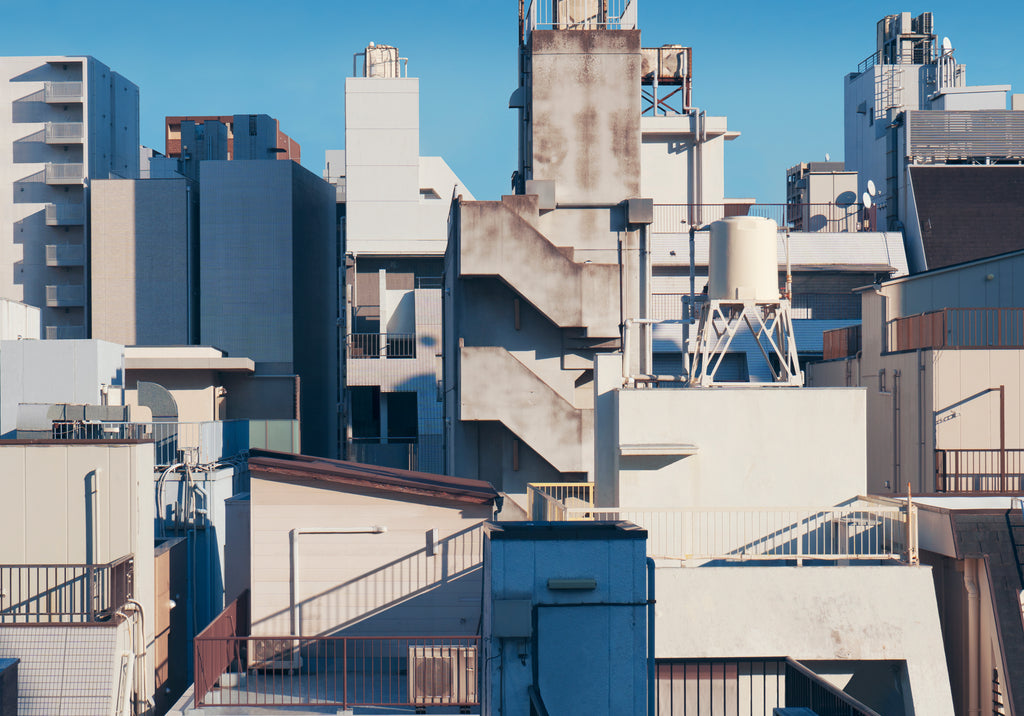 展示写真