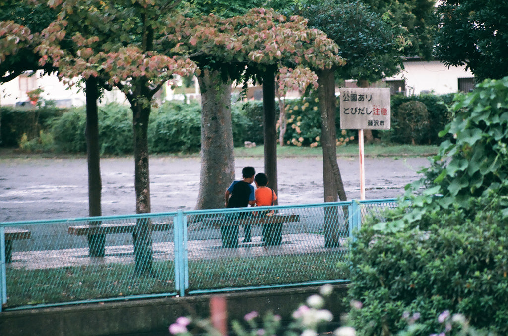 展示写真