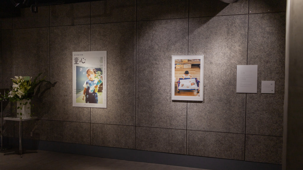 展示写真