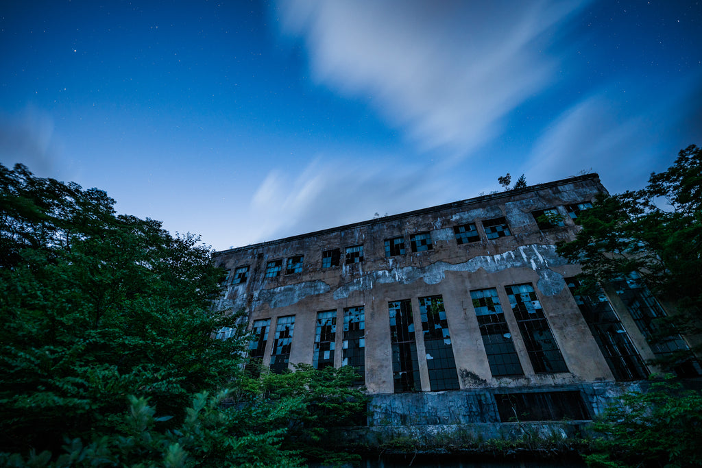 展示写真