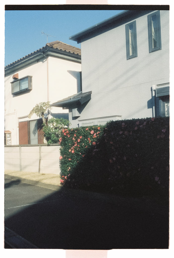 展示写真