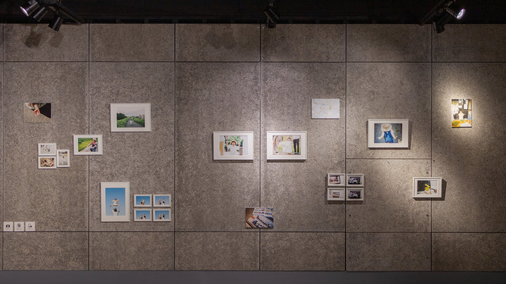 展示写真