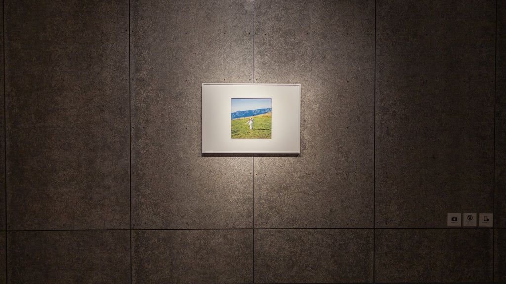 展示写真
