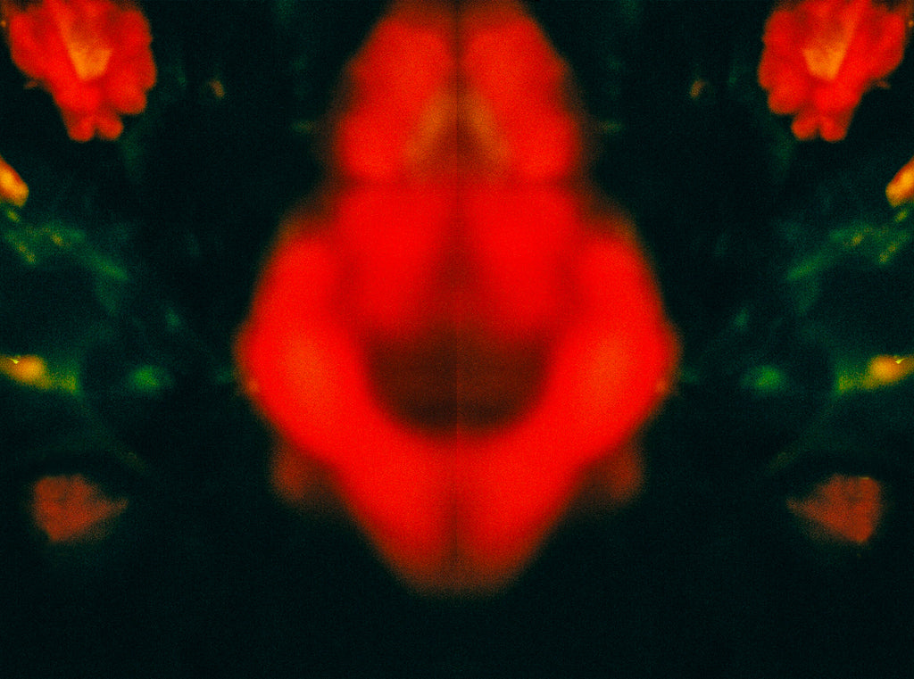 展示写真