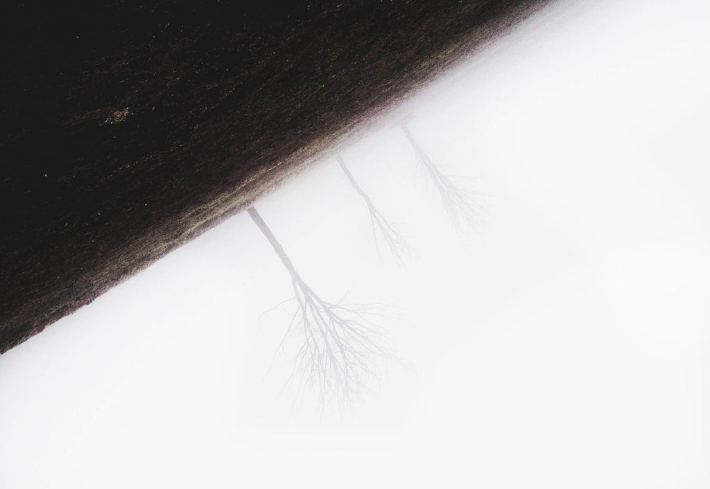 展示写真