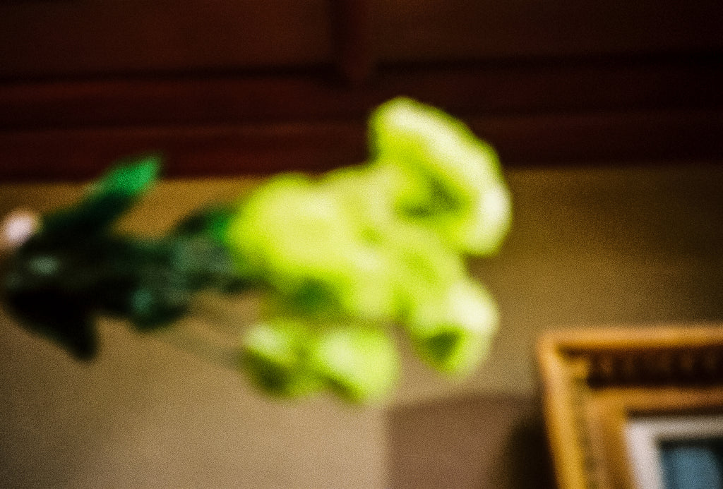 展示写真