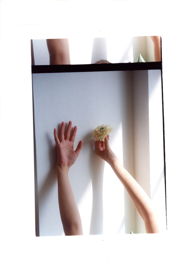 展示写真