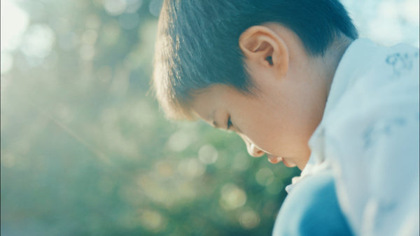 陥没 シアターコクーン・オンレパートリー2017+キューブ20th 生写真３枚付 AZONE INTERNATIONAL::えっくす☆きゅーと