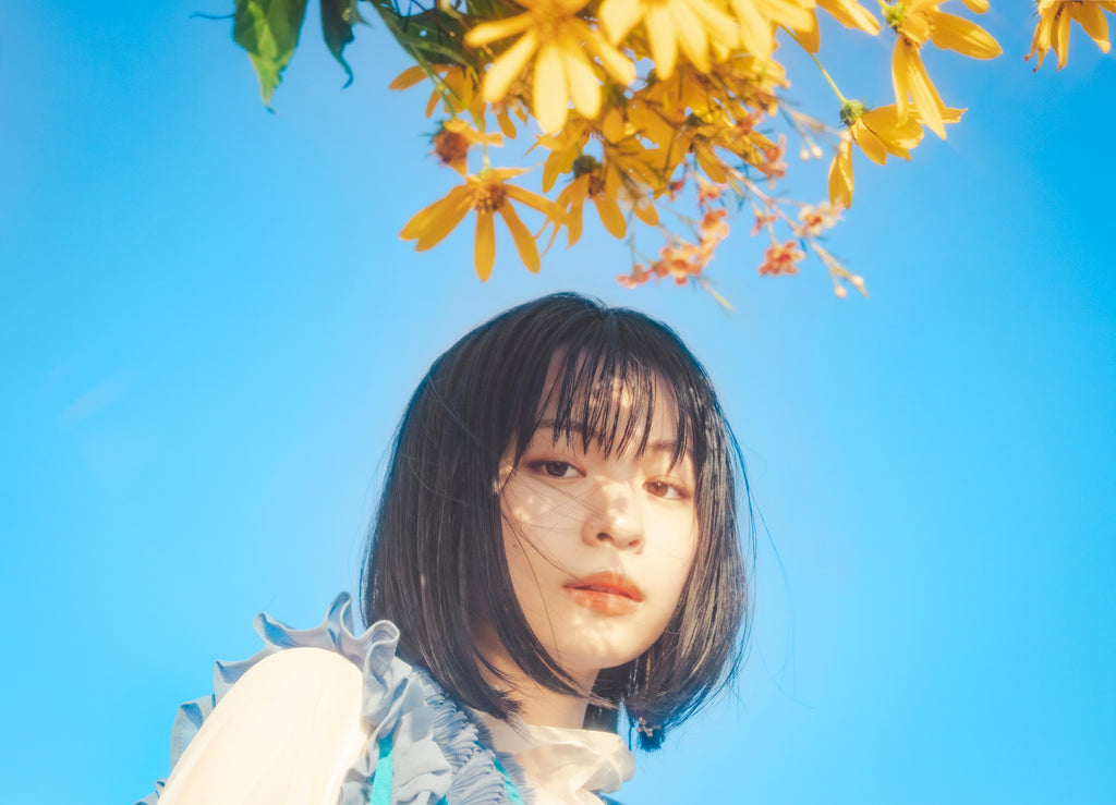 展示写真