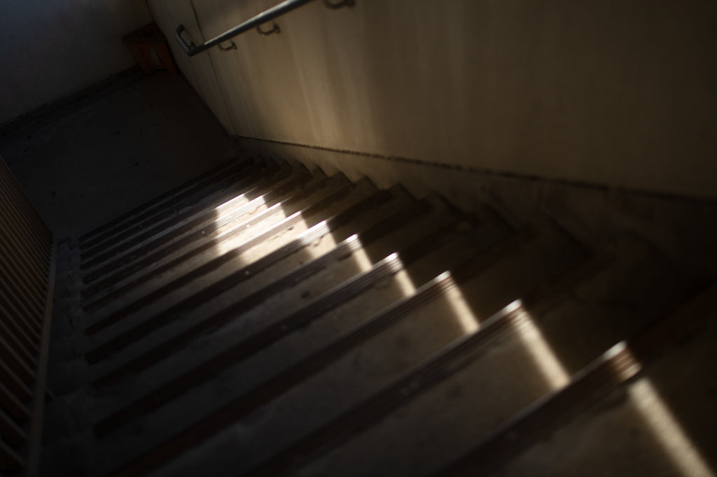 展示写真