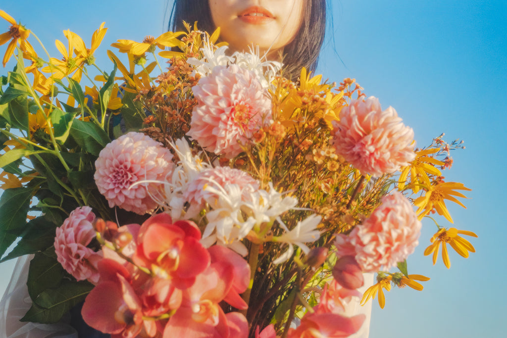 展示写真