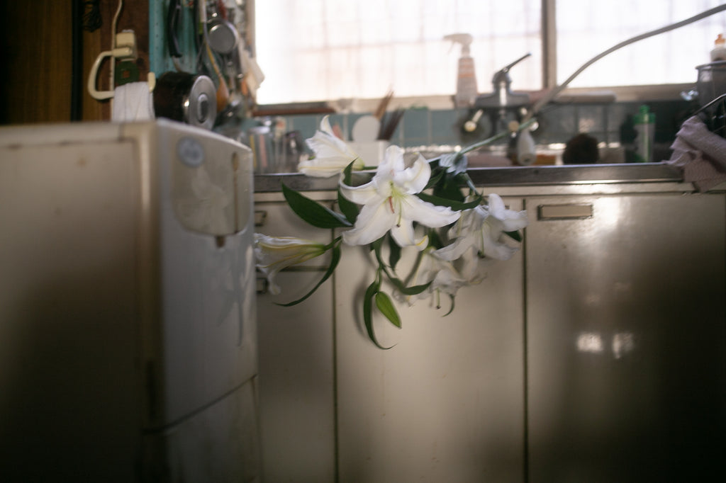 展示写真