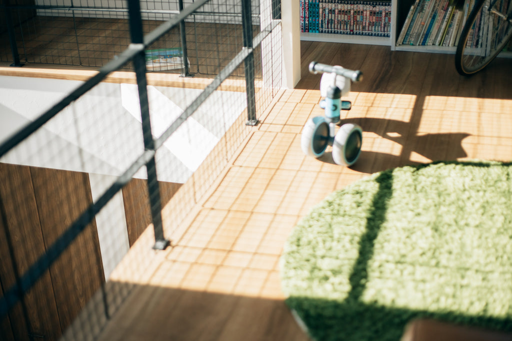 展示写真