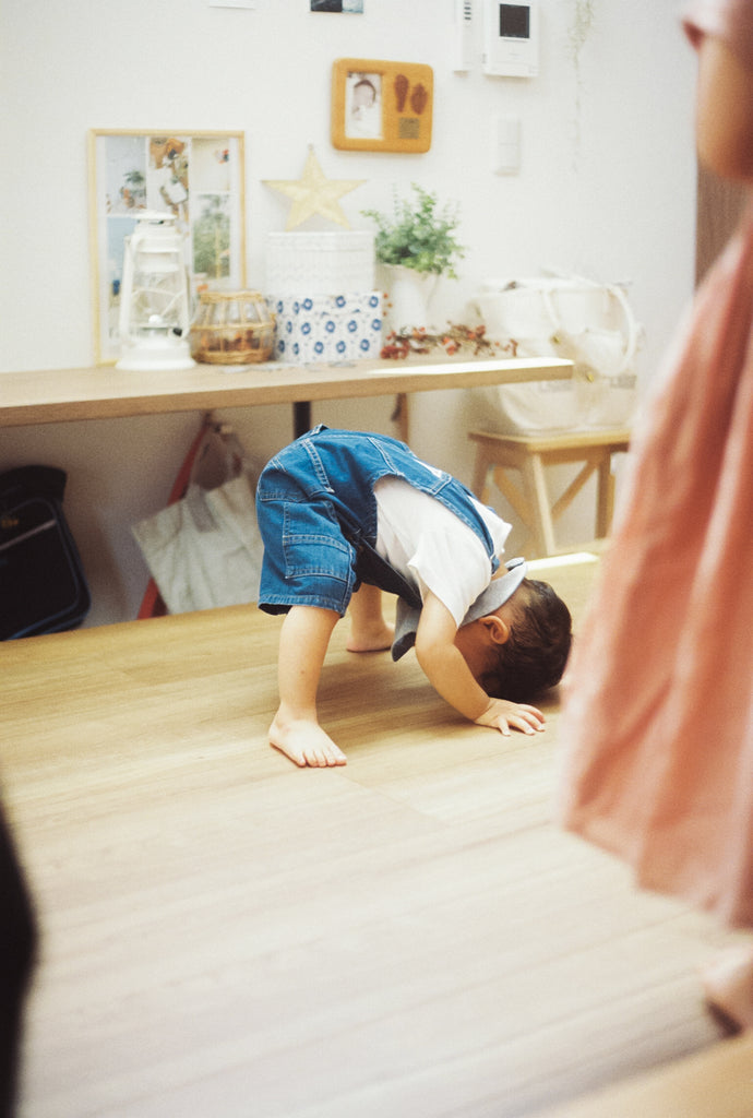 展示写真