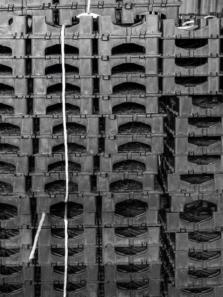 展示写真