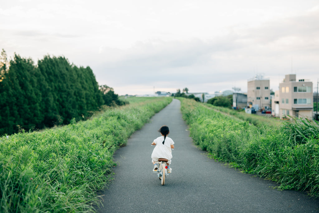 展示写真