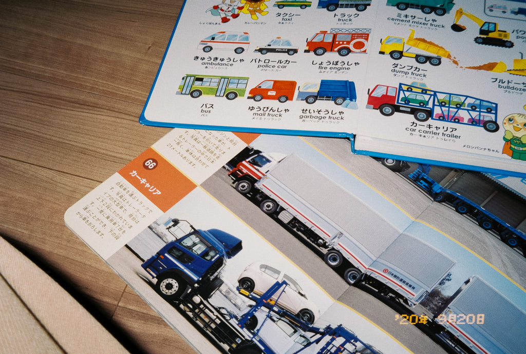 展示写真