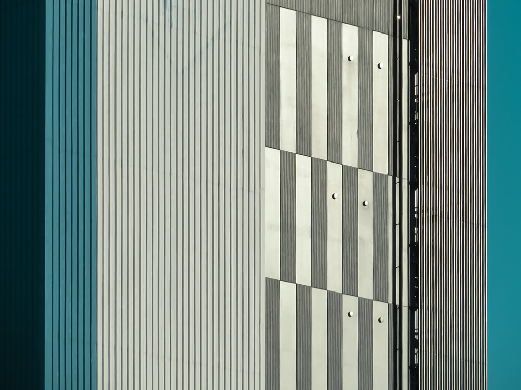展示写真