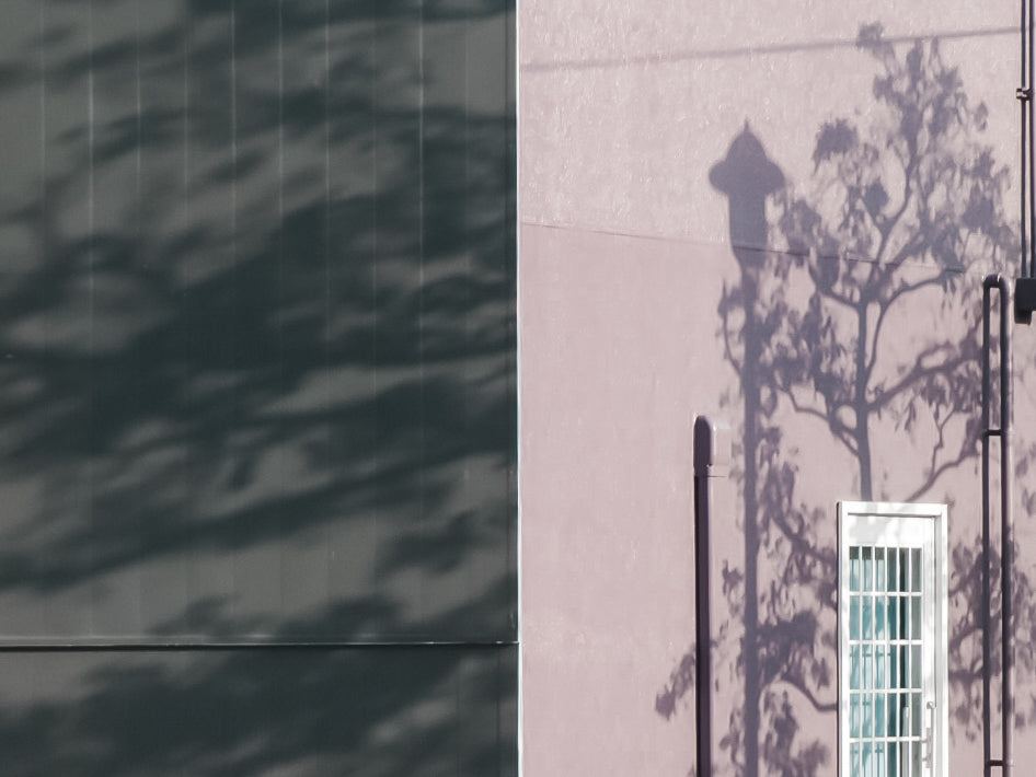 展示写真