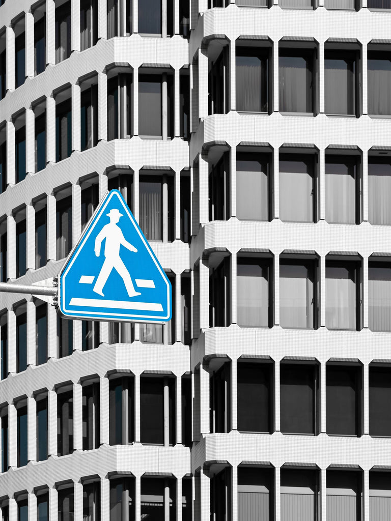展示写真