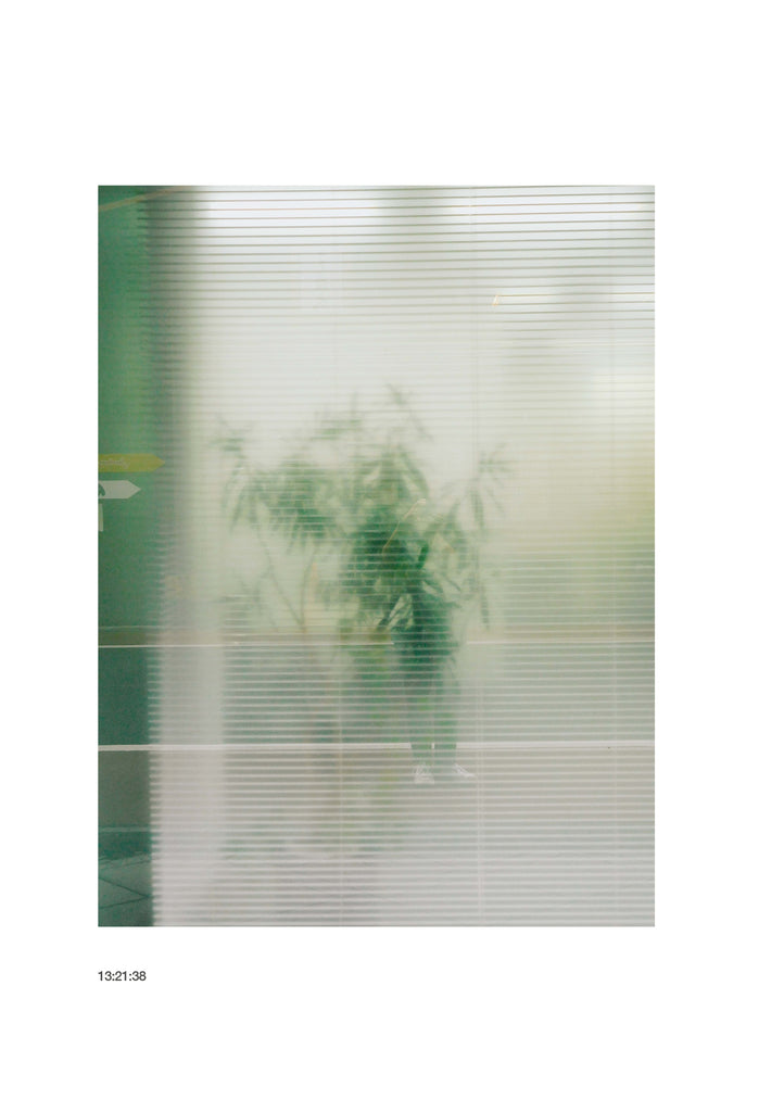 展示写真