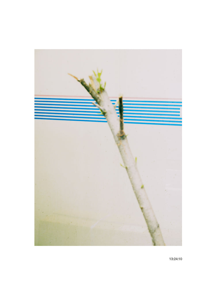 展示写真