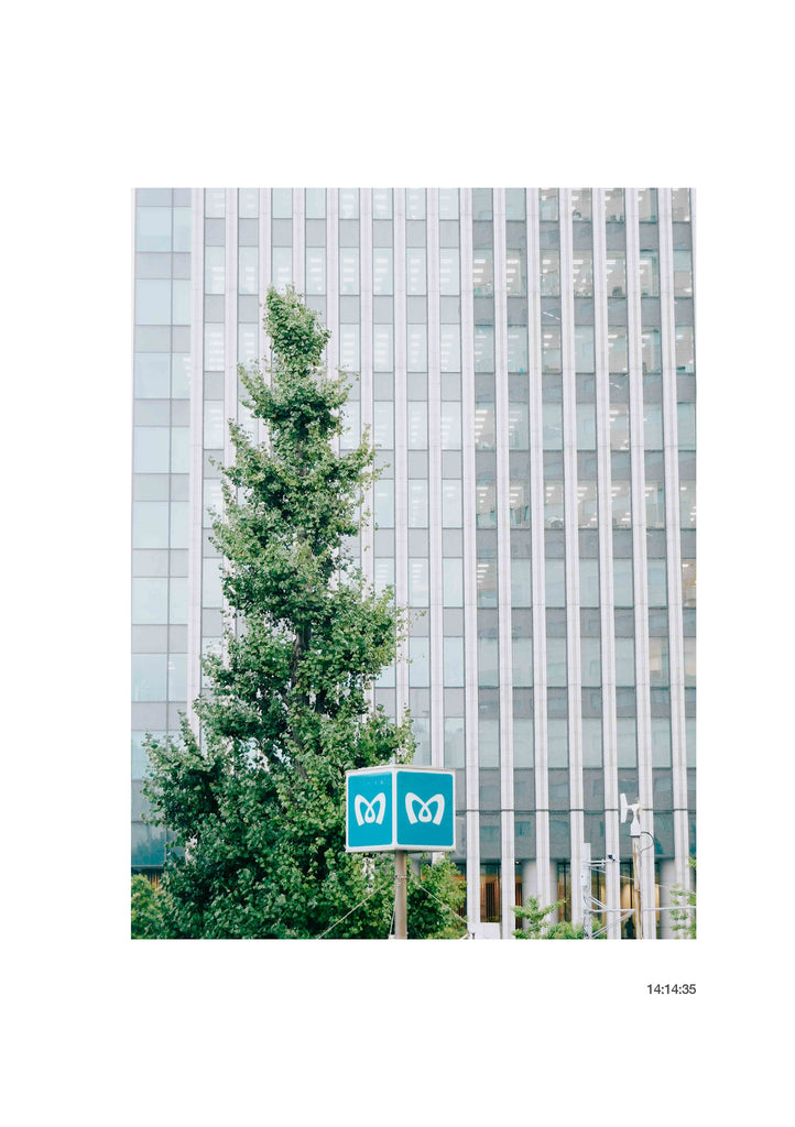 展示写真