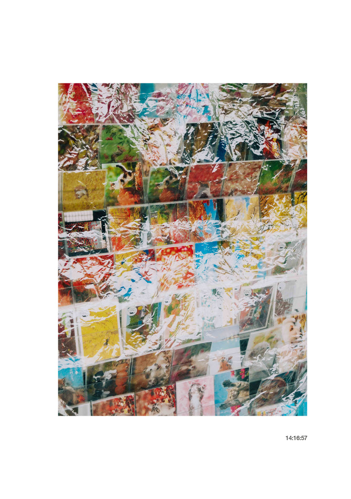 展示写真
