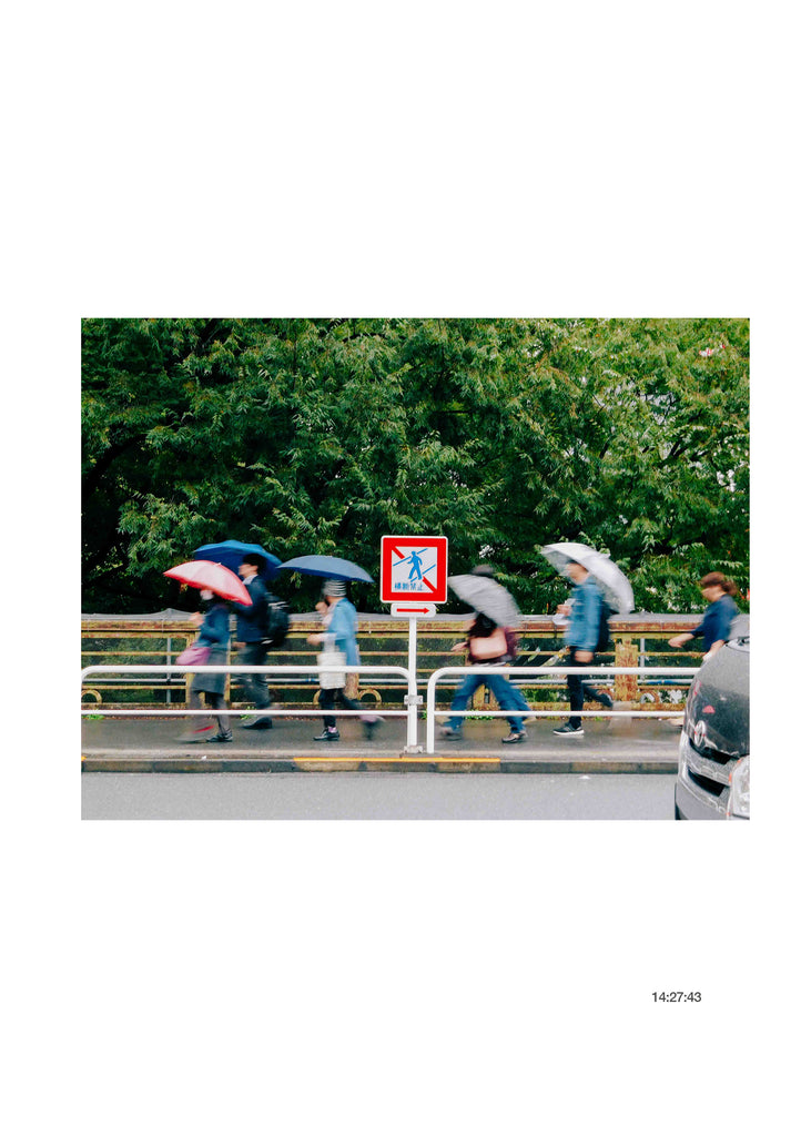 展示写真